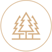w4_img1 w4_img1